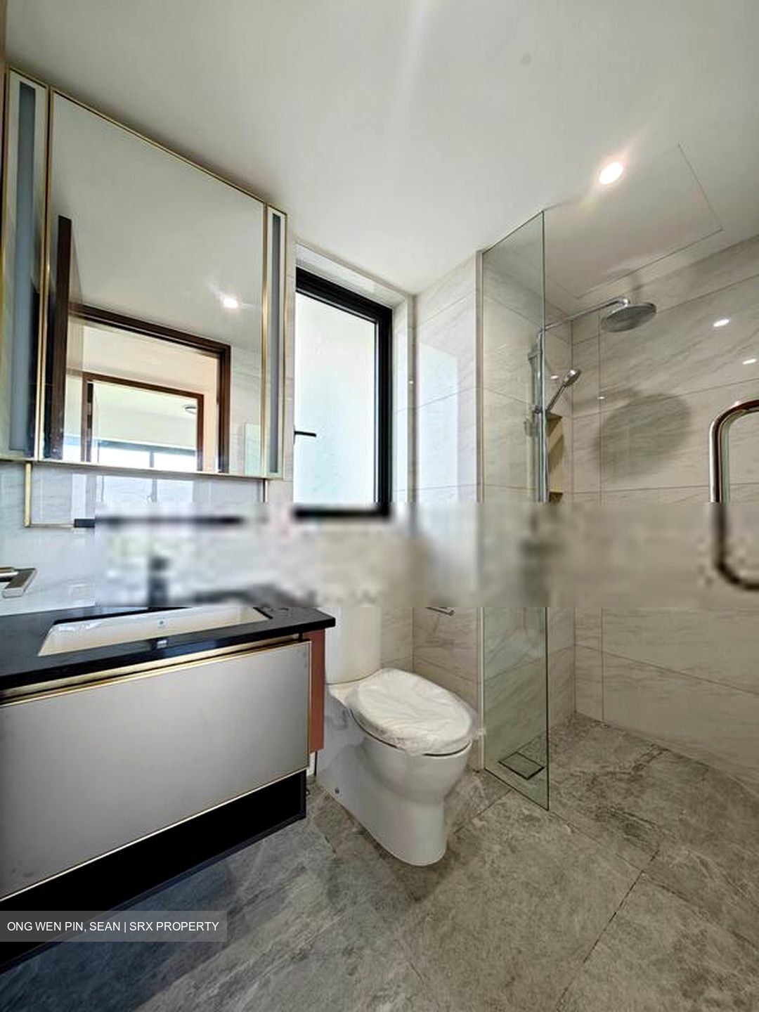 Normanton Park (D5), Apartment #467720141